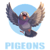 Pigeons Pigeon