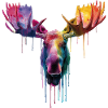 Moose Moose Head