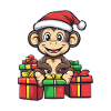 Monkey Christmas Gifts
