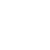 Lotus Mandala Bloom