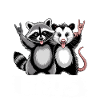Funny Opossum and Raccoon