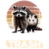 Funny Opossum and Raccoon