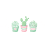 Plant Heartbeat Succulent Cactus