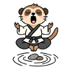 Meerkat in a Meditative Zen Kimono