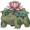 Lotus Turtle Dream