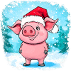 Piggy Christmas