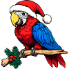 Parrots Christmas