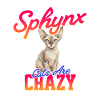 Sphynx Chat Drôle