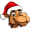 Kamel Weihnachten