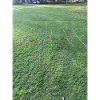 Grass grid blaze of colour
