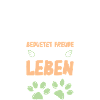 Border Collie Lebensfreude