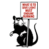 Light Needs Fire Quote Rat