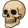 Sepia Skull Illustration