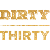 Dirty Thirty 30th Birthday