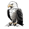 Portrait d’aigle puissant