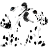Two Dalmatians