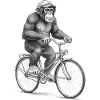 Monochrome Monkey Cyclist