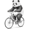 Panda on Bicycle