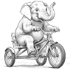 Elephant on a Tricycle