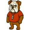 Bulldog Coach Mascot with Whistle