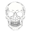 Minimalist Black Linear Skull