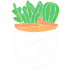Cacti Plant Cactus