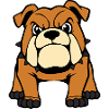 Bulldog Dog T-shirt Dog Shirt Gift