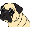 Pug Dogs T-shirt Gift Christmas