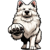 White Shepherd Shepherd Shepherd Dogs
