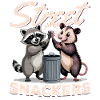 Funny Opossum and Raccoon
