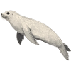Geometric Seal
