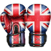 England English Boxing Gloves British Flag