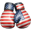 USA Flags Boxing Gloves