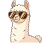 No Drama Llama Sunglasses
