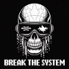 Cyberpunk Skull Break the System