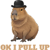 Okay, ich ziehe auf – Capybara-Meme-Humor