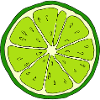 Lime Costume, Matching Halloween Costume