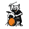 Cat drummer in punk rhythm
