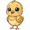 Chick Cute Chick Gift
