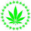 Bright Green Cannabis Leaf Ring Design