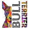 Farbenfroher Bull Terrier
