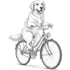 Chien Tailwind Rider à vélo