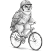 Owl on a Grey Bicycle