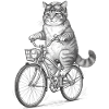 Katzenradfahrer mit Schutzbrille