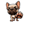 Parle au Bulldog Français Tyran