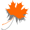 Maple leaf