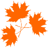 Orange Maple Leaves Trio