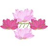 Spiritual Lotus 777 Angel number