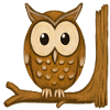 Owl on the branch