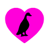 Canard